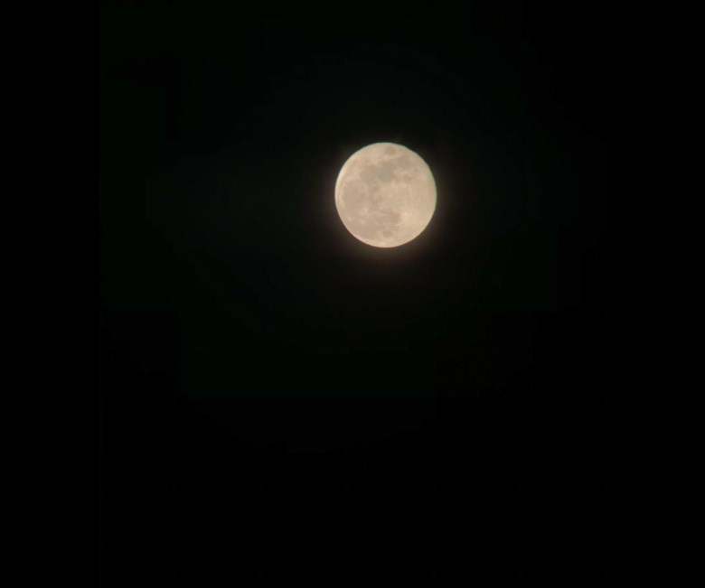 Celestron 70mm Travel Scope DX - Image 11